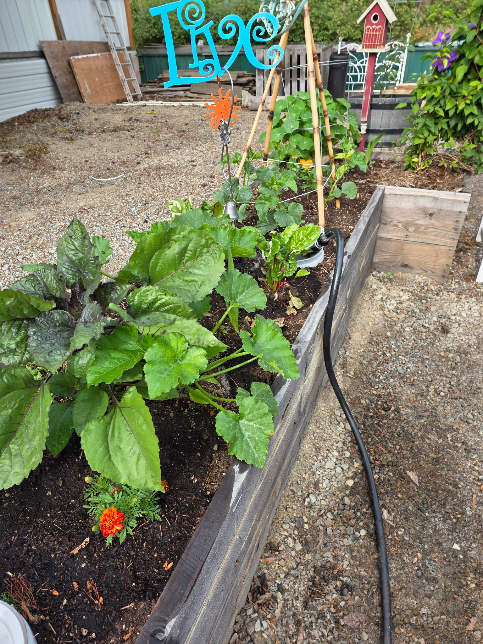 Image slideshow